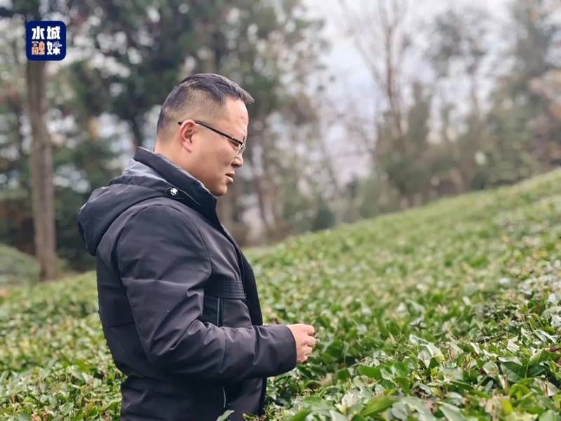 貴州省人大代表劉興：把論文寫在茶山 把履職落在實(shí)處