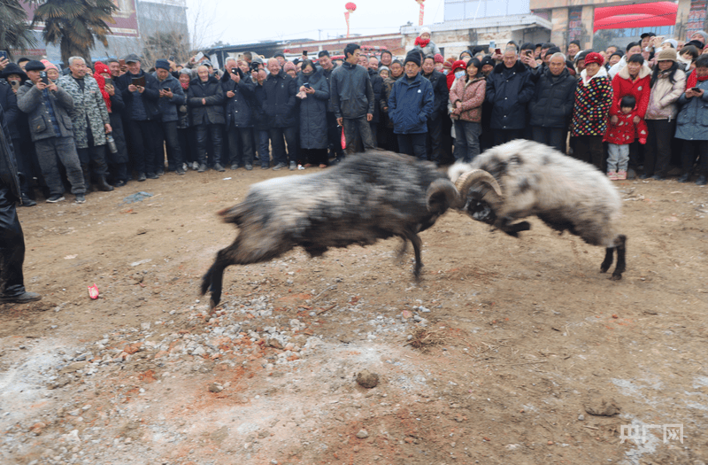河南鎮(zhèn)平：“美食小鎮(zhèn)”年味濃