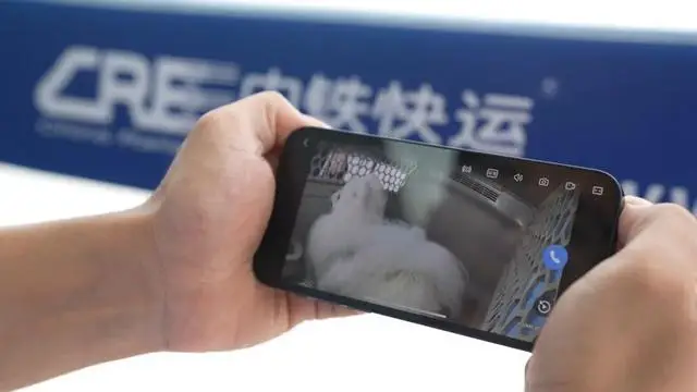 收藏！110個寵物托運車站全名單