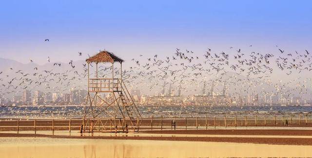 秦皇島北戴河榮登年度“旅游增速TOP10”，冬天的她美出新高度！