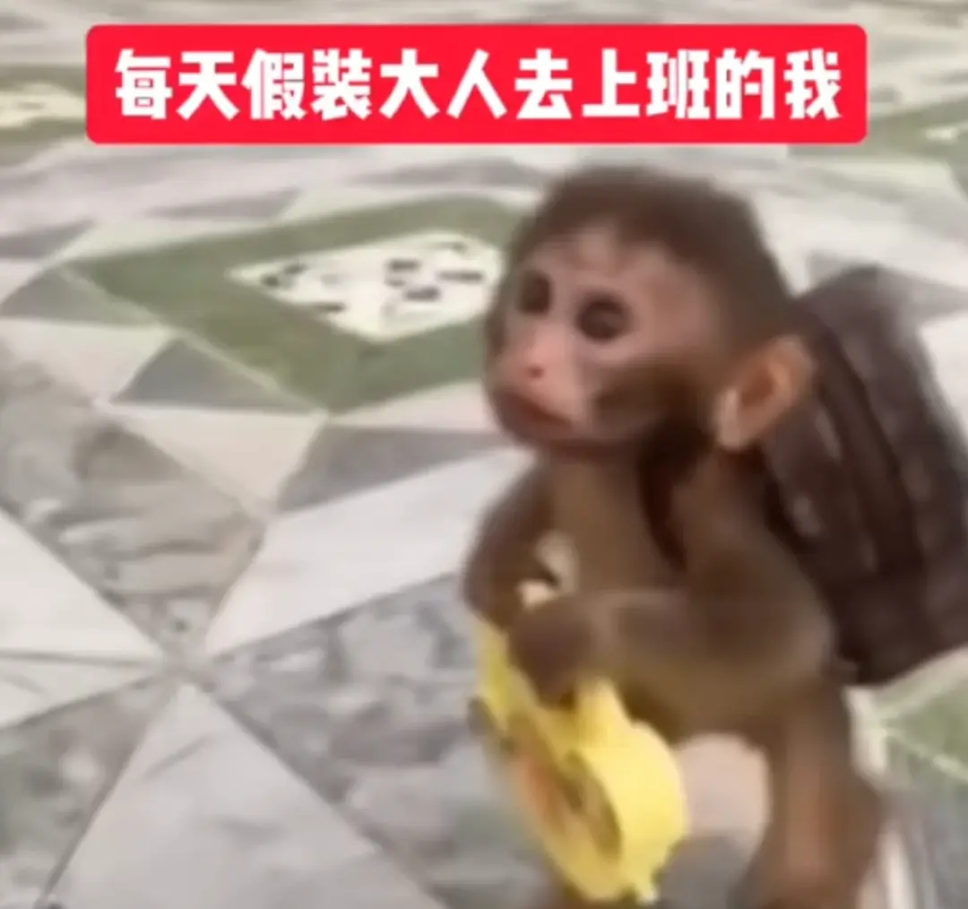 “AI代寫論文、績點瘋狂內(nèi)卷”，高中化的大學里，「空心病」正席卷晚熟的大學生們