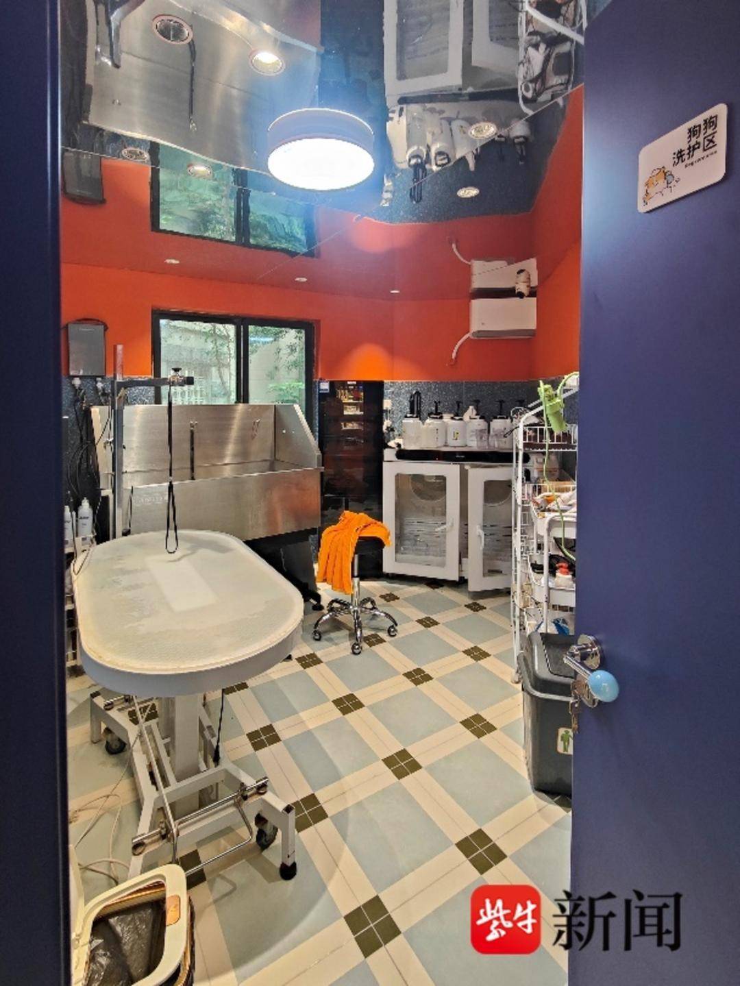 節(jié)前寵物美容需求量激增，美容師預(yù)約單已排至除夕夜