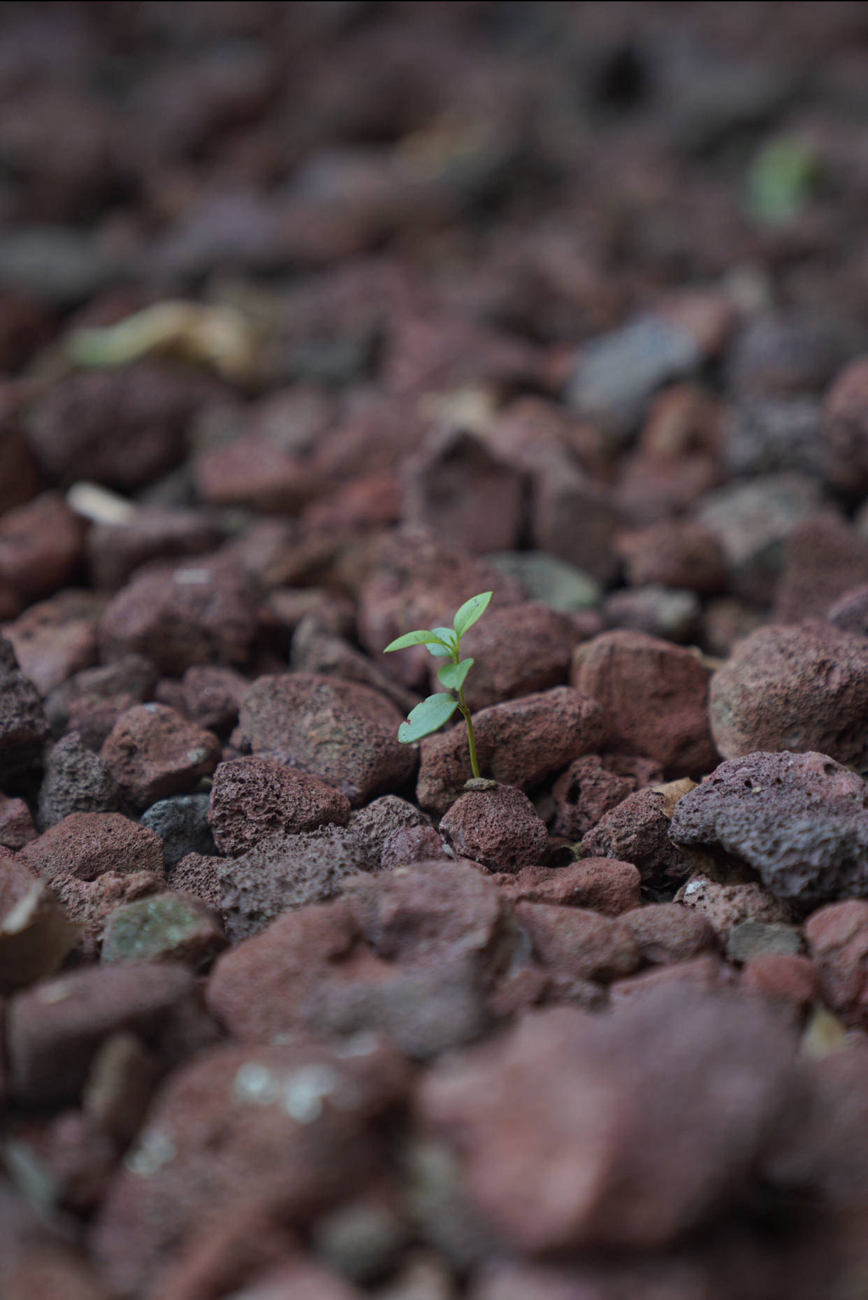 原創(chuàng)小學(xué)娃每天補(bǔ)課到晚上10點(diǎn)，家長(zhǎng)被罵“毀娃”，錯(cuò)了嗎？