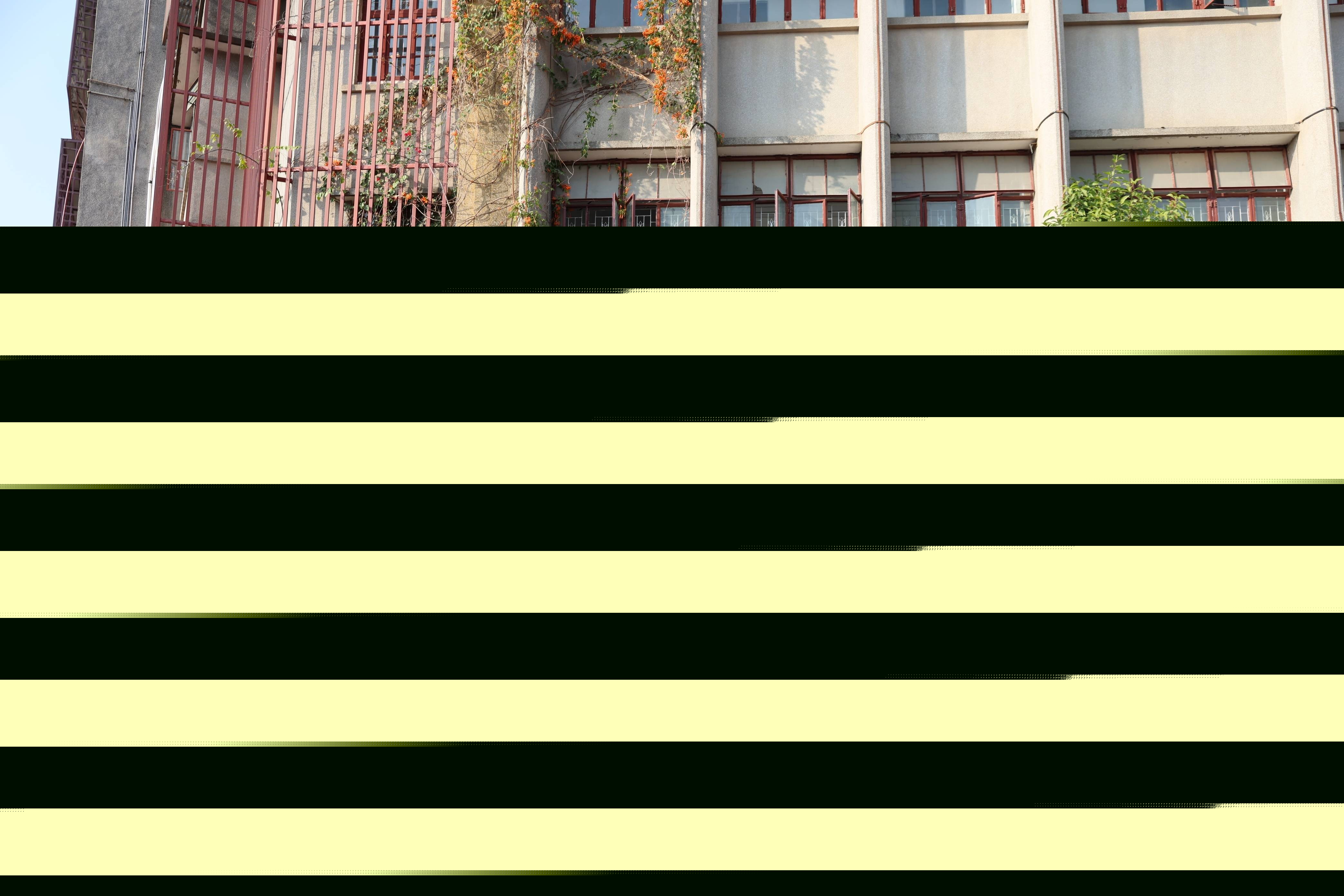 潮州菜“廚藝大賽”之后，潮州美食集市來(lái)啦！