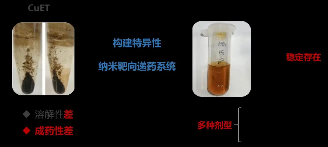 中南（貴陽）產(chǎn)業(yè)技術(shù)研究院有限公司科技成果發(fā)布（第十三期）