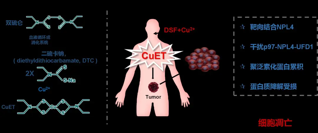 中南（貴陽）產(chǎn)業(yè)技術(shù)研究院有限公司科技成果發(fā)布（第十三期）