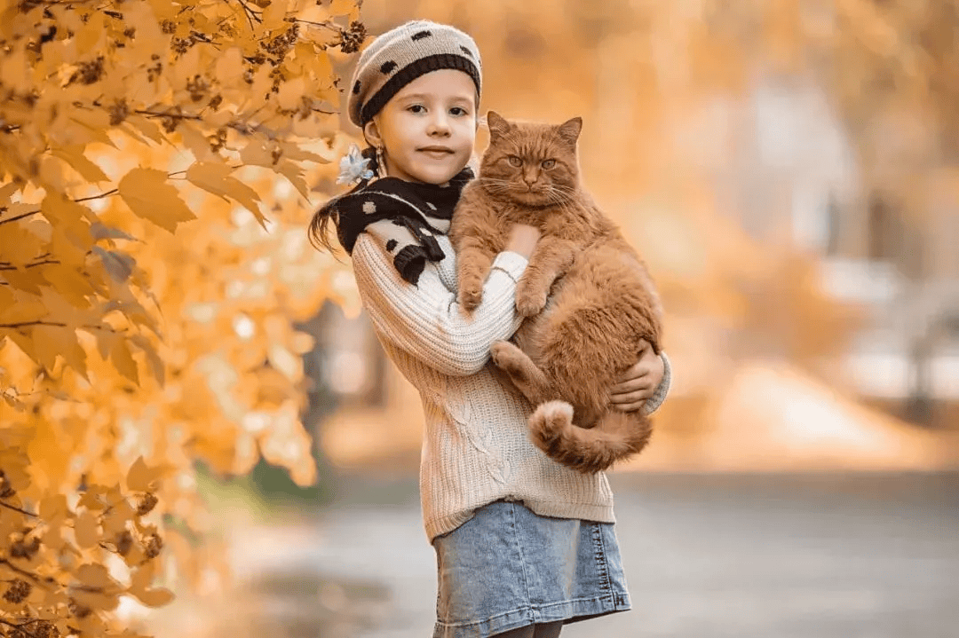 假期刷10部視頻，輕松記牢 1000 個單詞｜建議收藏