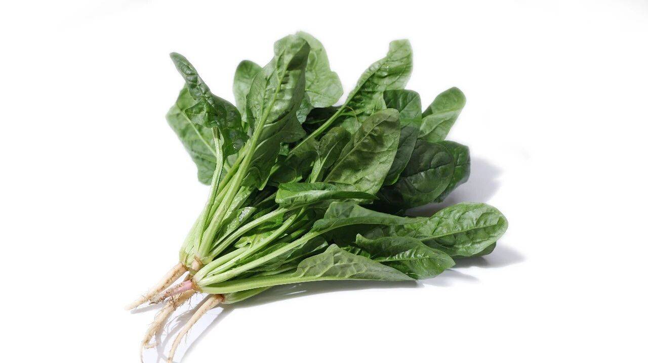 原創(chuàng)女性體內(nèi)黃體酮若不足，會使其老態(tài)盡顯，常吃這5種食物或能改善