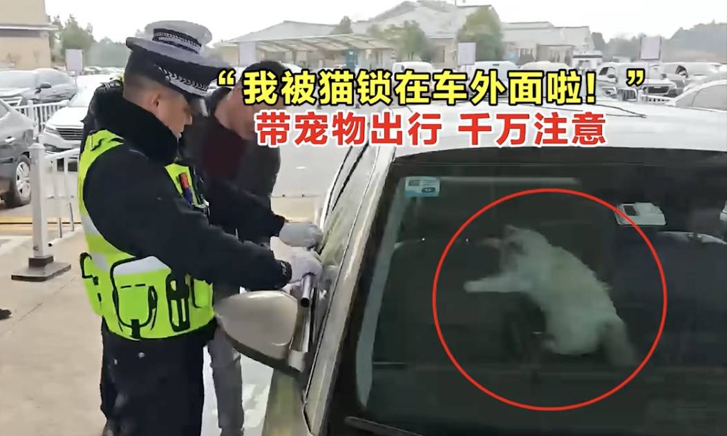 今起全國高速免費通行9天！這份“春節(jié)自駕安全指南”請收藏→