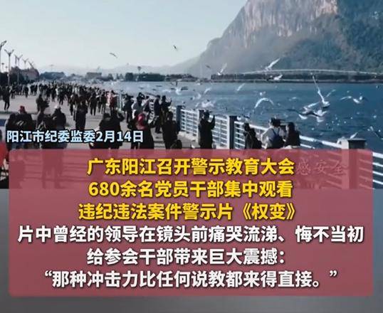 原創(chuàng)14名干部排隊自首！陽江警示教育片，為何讓有問題的人坐立不安？