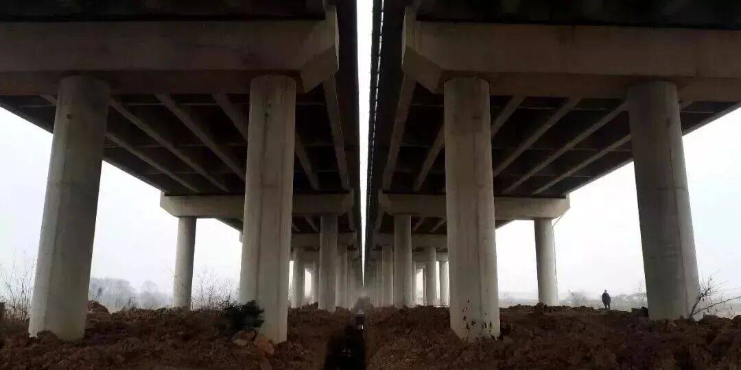 今起全國高速免費通行9天！這份“春節(jié)自駕安全指南”請收藏→