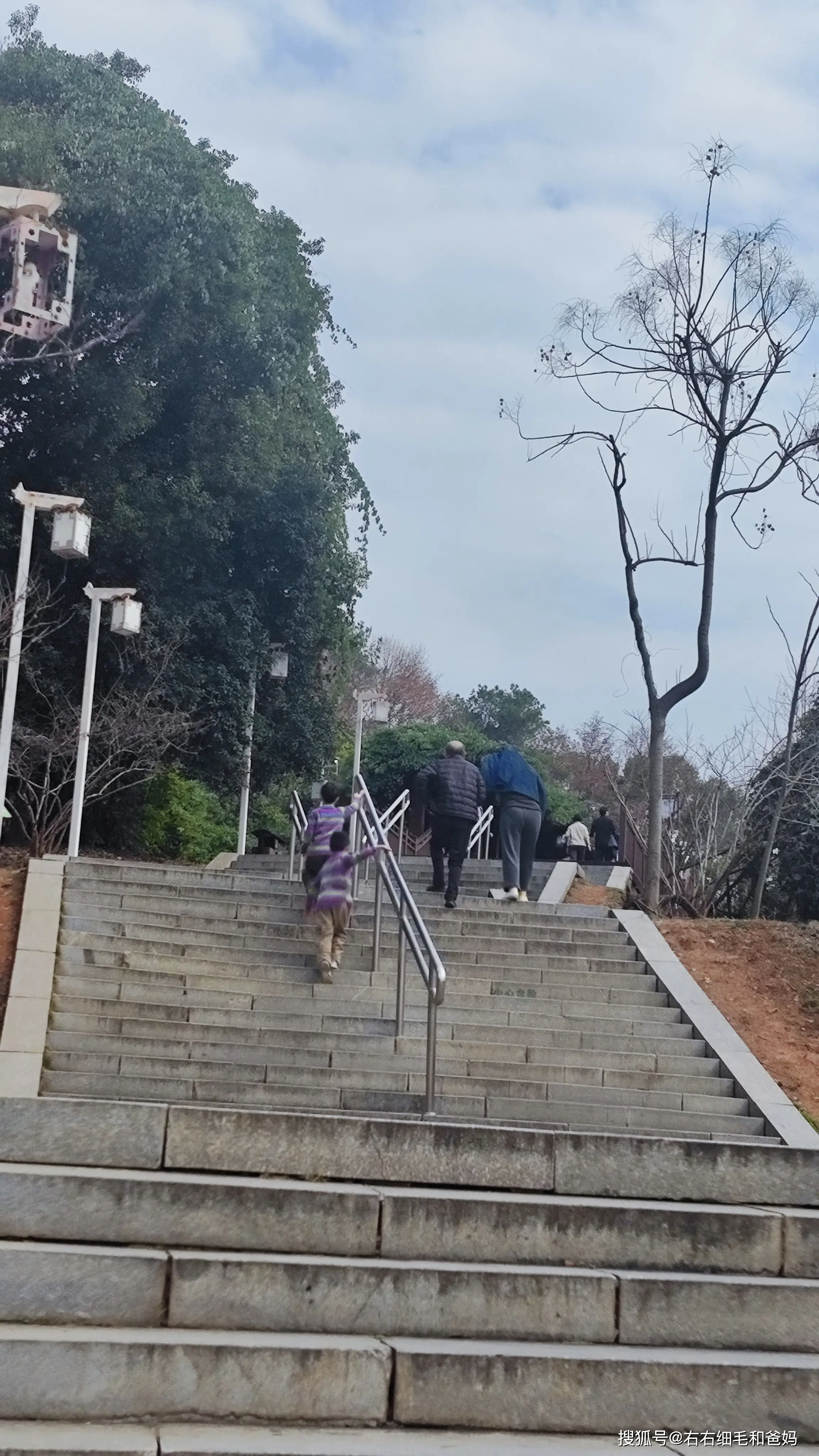 原創(chuàng)跑錯(cuò)方向的“搶跑”教育：公園里、公車上，被“逼”學(xué)習(xí)的5歲娃