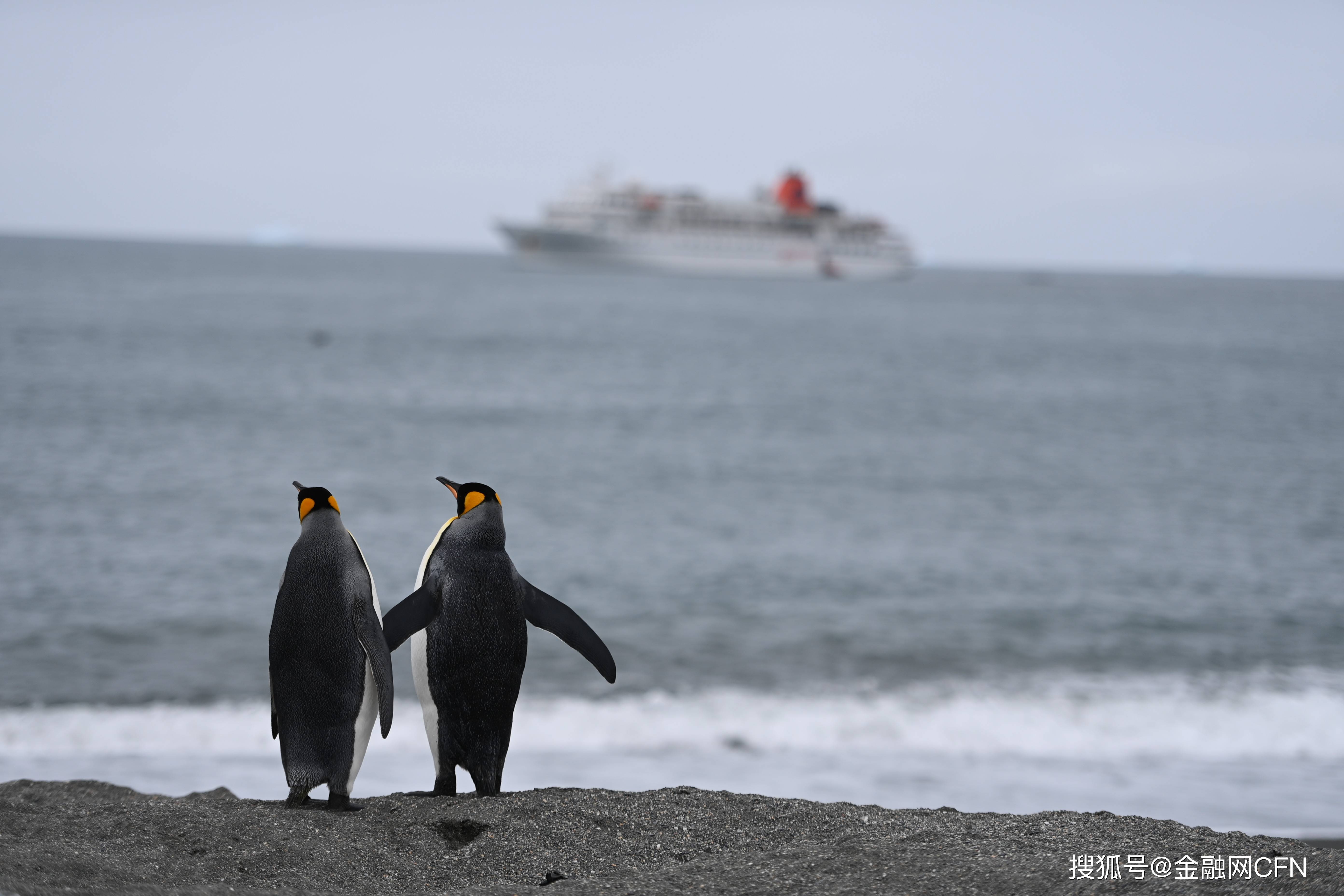 從南極到北京，北京小學(xué)生何曼琳繪畫作品《南極家園》驚艷金融街