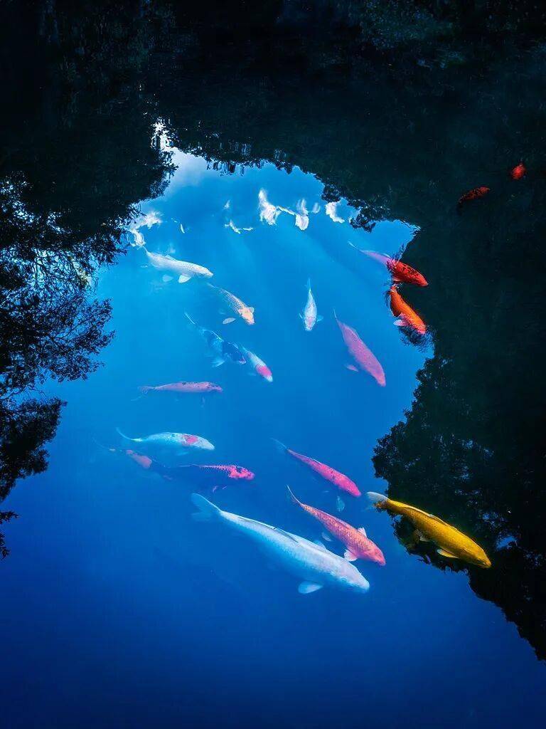 收藏！2?2?/??.??除夕朋友圈文案來啦