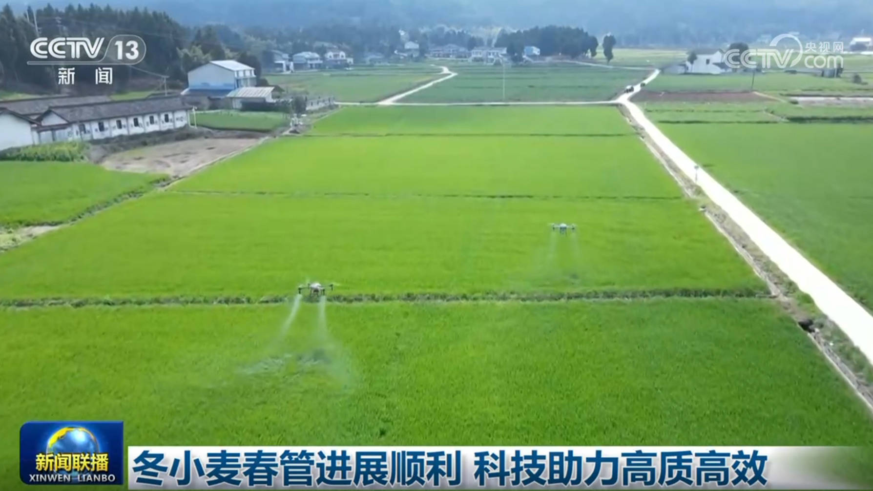 冬小麥春管進(jìn)展順利 科技助力高質(zhì)高效