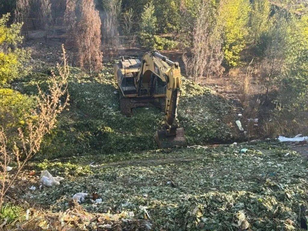 昆明空港物流園附近被傾倒生活垃圾，環(huán)保部門：累計(jì)清理10.7噸廢棄物