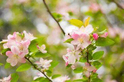 即墨區(qū)老年大學(xué)2026年春季學(xué)期招生簡(jiǎn)章