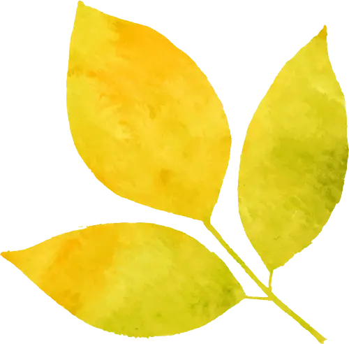 即墨區(qū)老年大學(xué)2026年春季學(xué)期招生簡(jiǎn)章