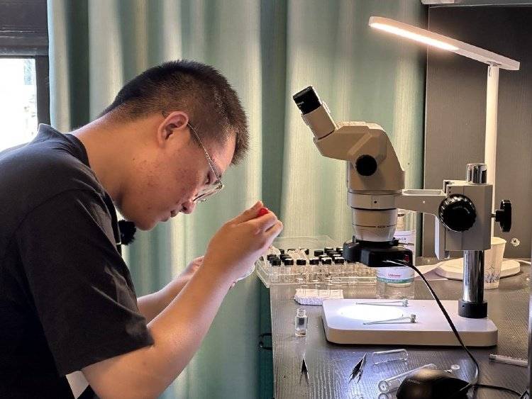 那些發(fā)現(xiàn)新物種的少年：有的是論文一作，有的獲得命名權(quán)