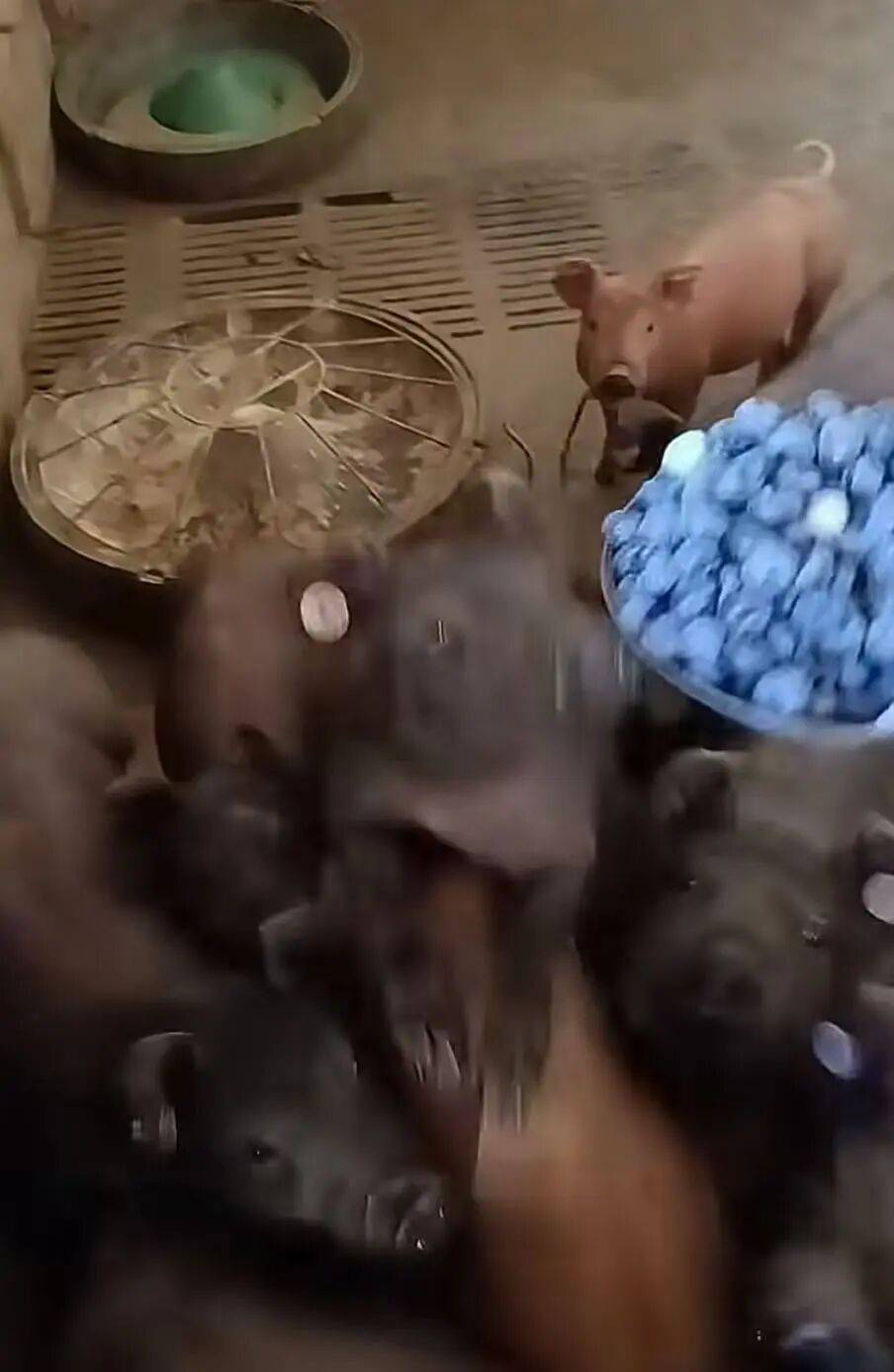 “被SCI拒絕的論文找到了自己真正的家？”哈哈哈人民看得懂的論文才是好論文！