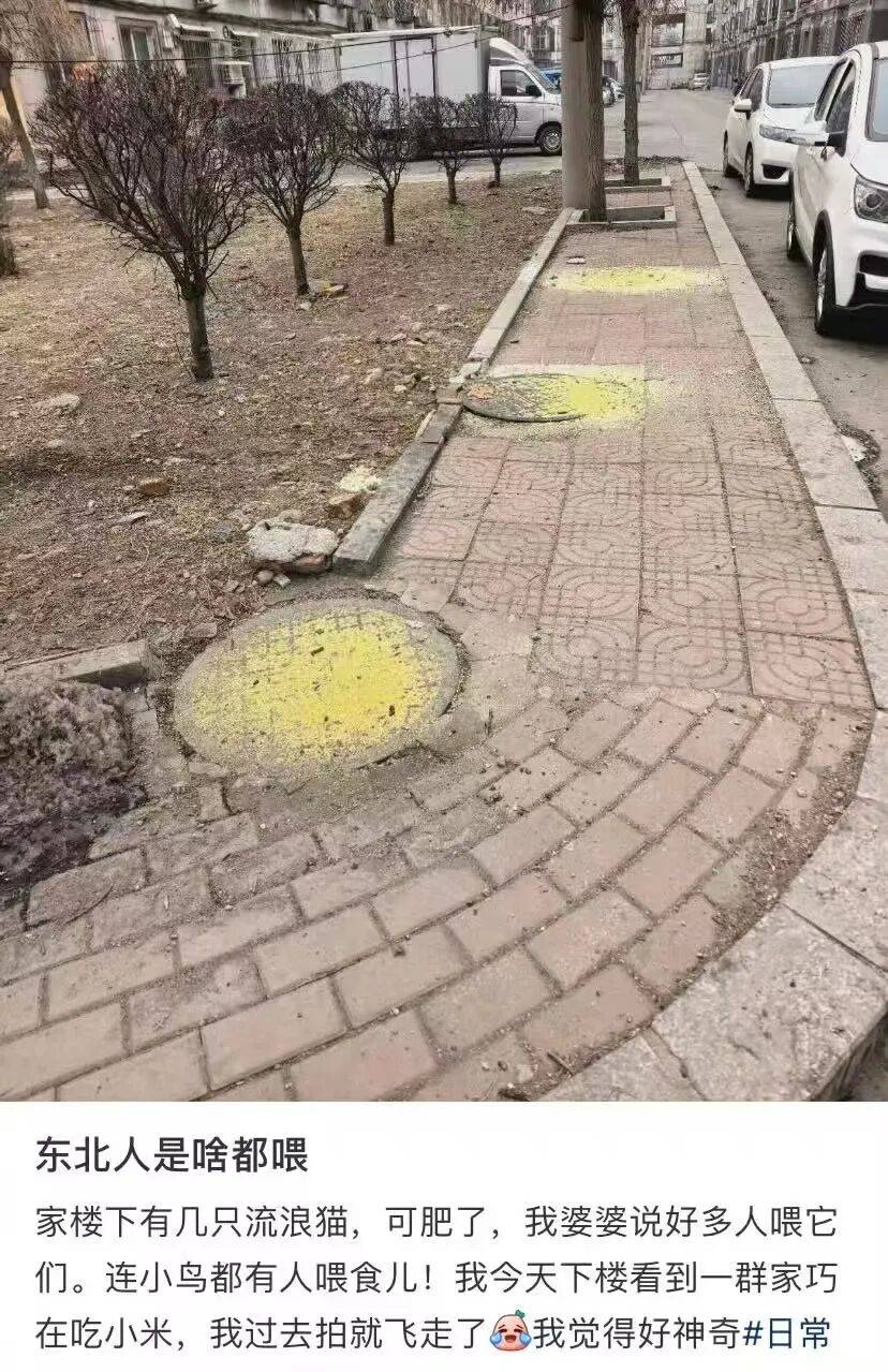 “被SCI拒絕的論文找到了自己真正的家？”哈哈哈人民看得懂的論文才是好論文！