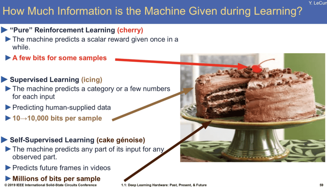 LeCun團(tuán)隊(duì)新論文：模仿人類智能搞AI，照貓畫虎死胡同