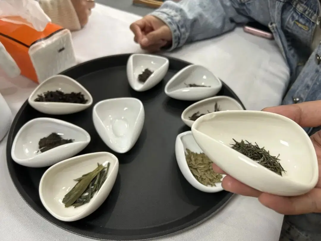 成都夜校即將開班，3月多區(qū)課程上新！舞蹈、配音、攝影、瑜伽、咖啡、化妝、羽毛球、八段錦…