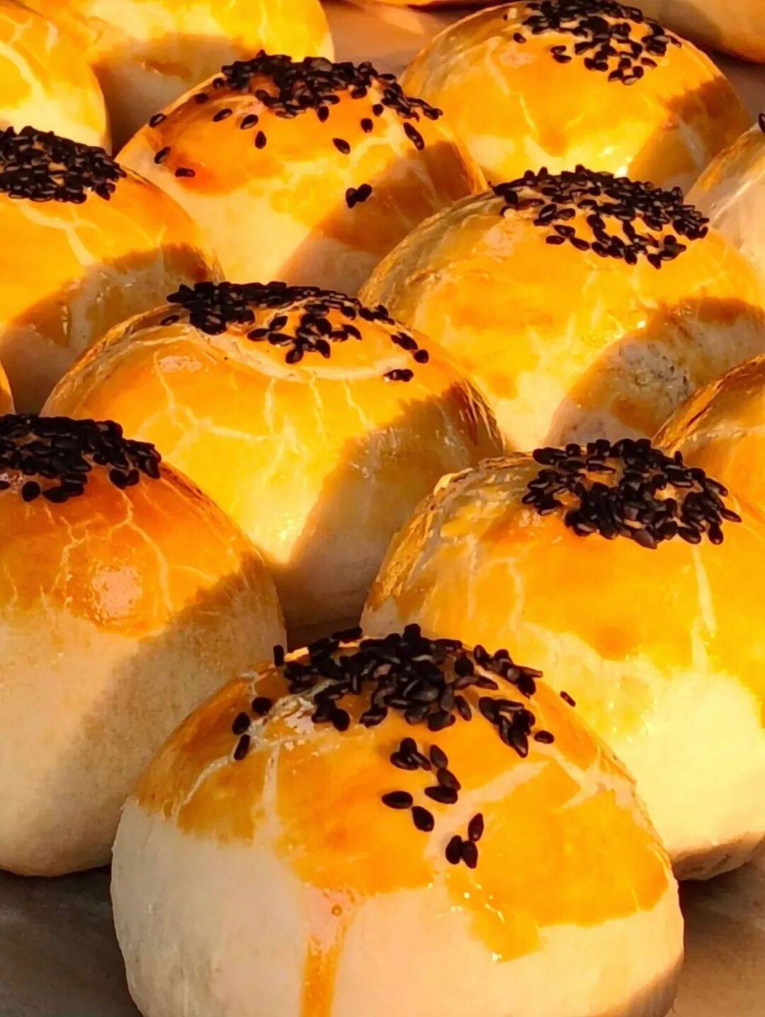 成都夜校即將開班，3月多區(qū)課程上新！舞蹈、配音、攝影、瑜伽、咖啡、化妝、羽毛球、八段錦…