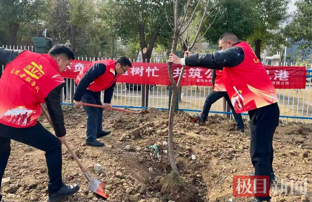 “房子是租的，但生活是自己的！”他們在公租房小區(qū)種下“歸屬感”