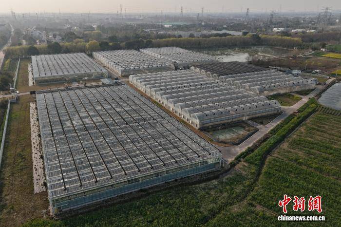 浙江桐鄉(xiāng)：科技育苗助春耕