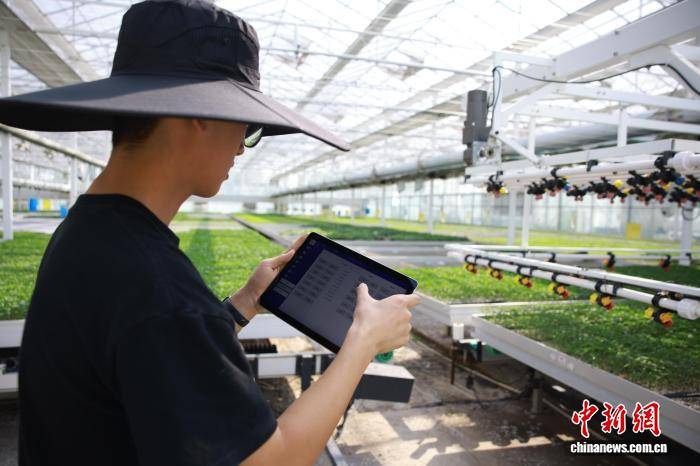 浙江桐鄉(xiāng)：科技育苗助春耕