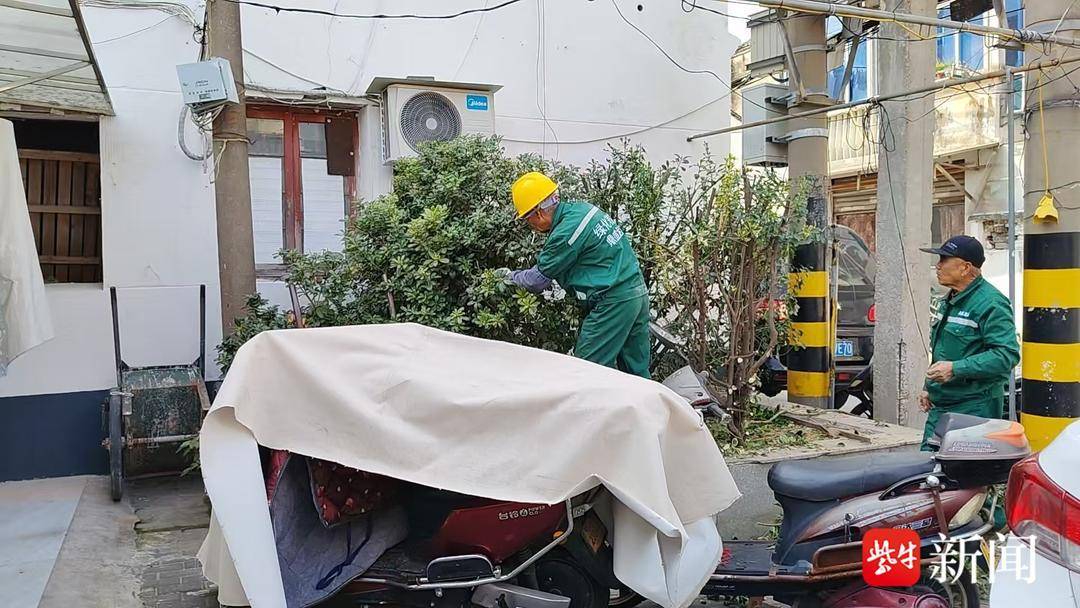 及時(shí)修剪樹木，社區(qū)快速處置解民憂