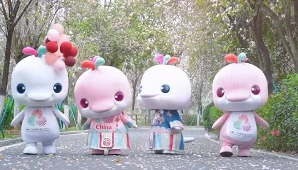 賞花品美食、偶遇“大灣雞”！這個周末來華農(nóng)逛春日集市