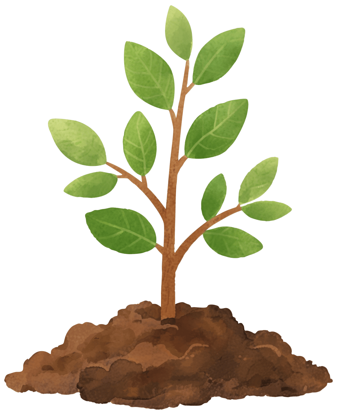 成都出發(fā)適合3月去的8個旅游城市推薦！