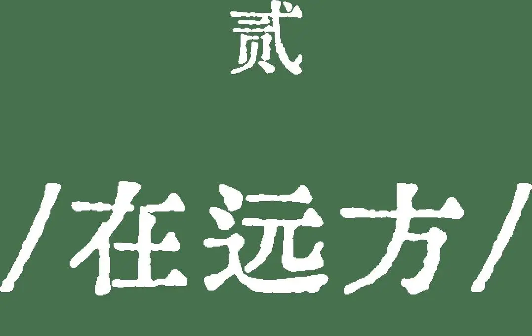這部佟麗婭主演的舞蹈詩劇，用舞蹈書寫了民族的散文詩