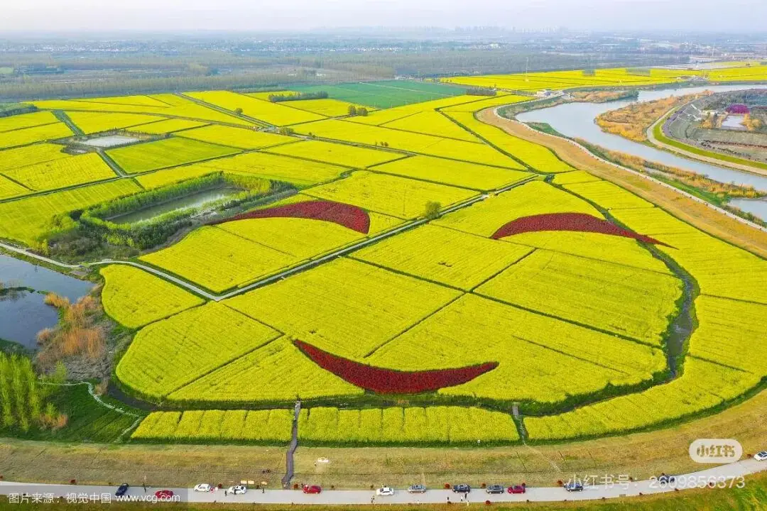 不用跑遠(yuǎn)！南京市區(qū)及周邊油菜花地圖，收藏出發(fā)