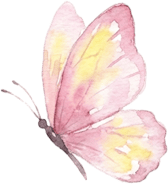 收藏！泉州春日賞花去哪里？花期+地址全攻略