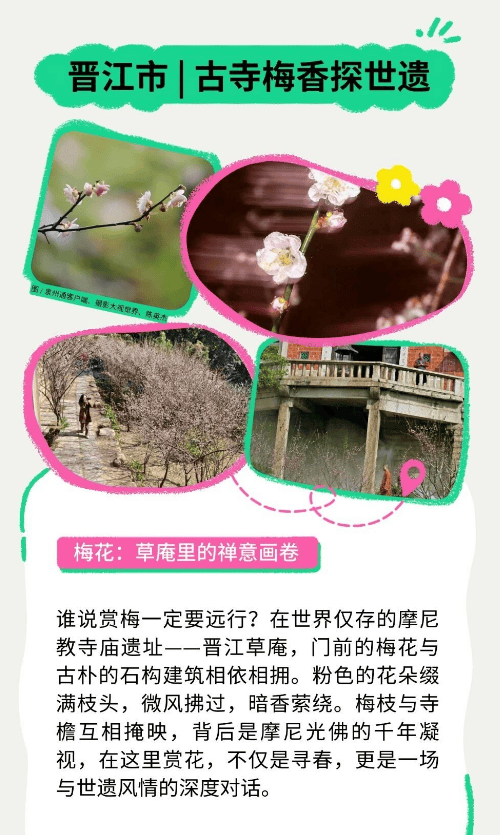 收藏！泉州春日賞花去哪里？花期+地址全攻略