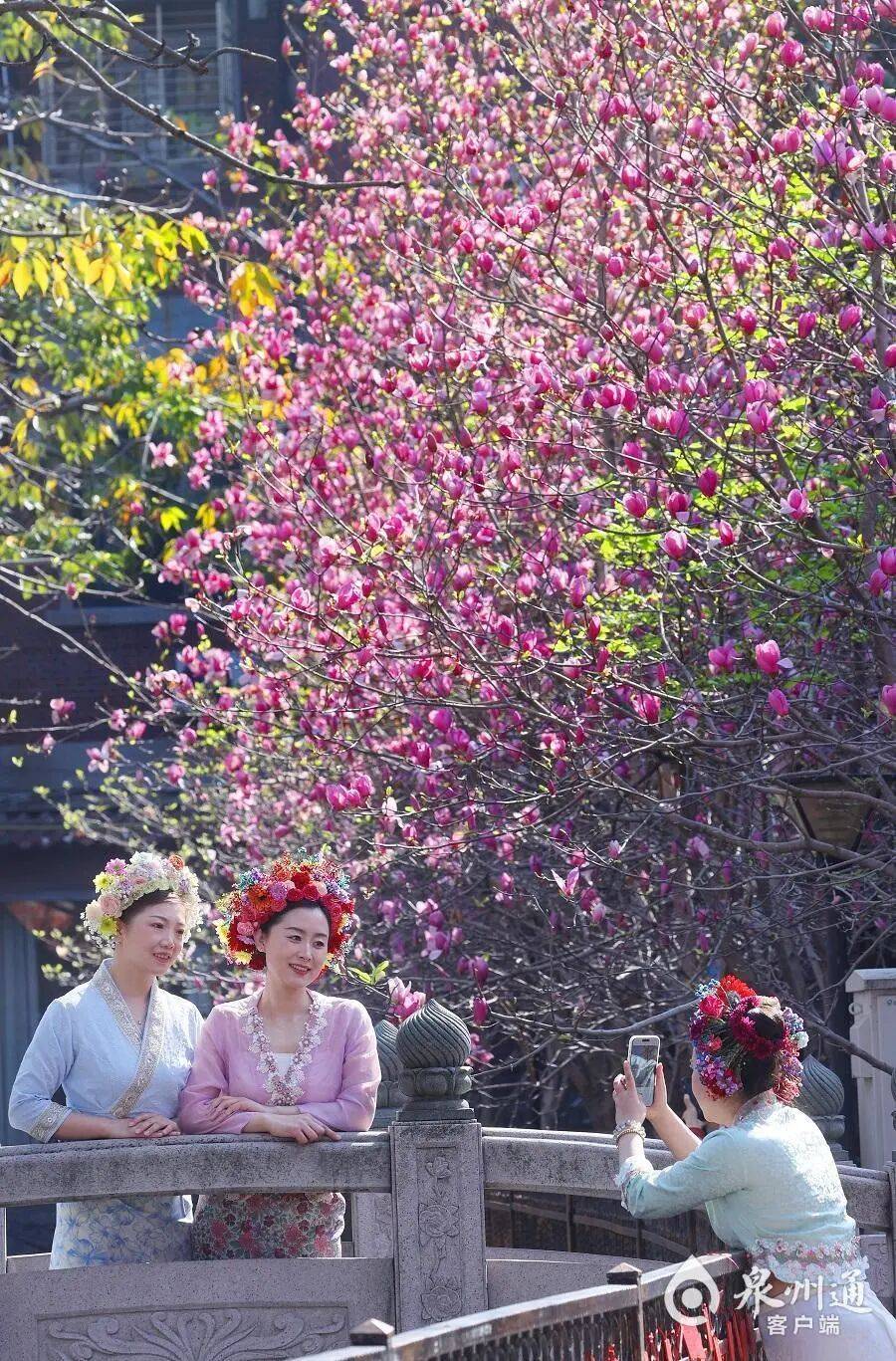 收藏！泉州春日賞花去哪里？花期+地址全攻略