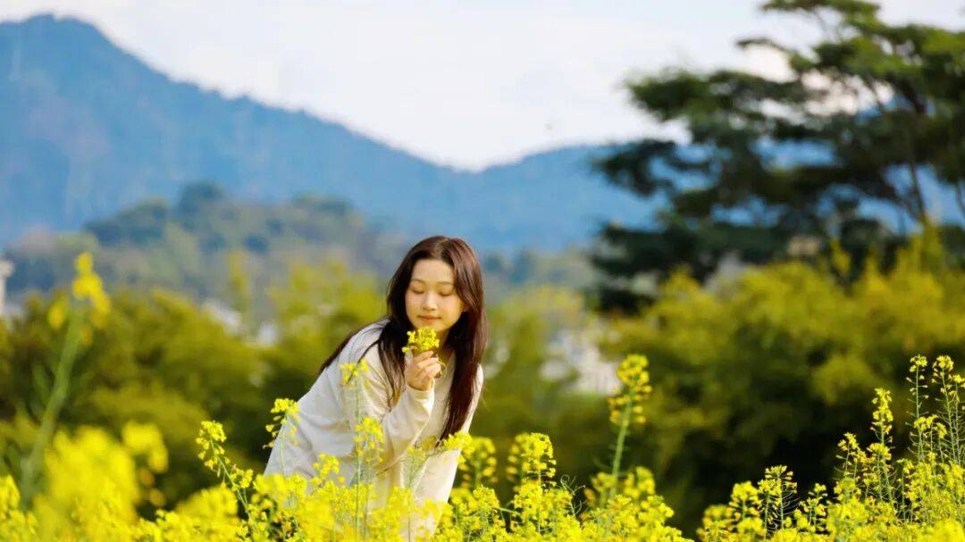 收藏！泉州春日賞花去哪里？花期+地址全攻略