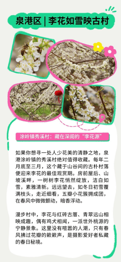 收藏！泉州春日賞花去哪里？花期+地址全攻略