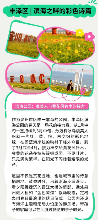 收藏！泉州春日賞花去哪里？花期+地址全攻略