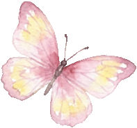 收藏！泉州春日賞花去哪里？花期+地址全攻略