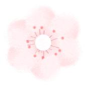 收藏！泉州春日賞花去哪里？花期+地址全攻略