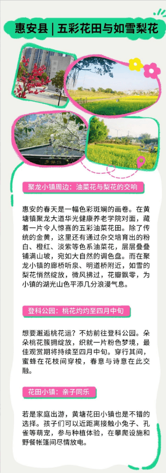 收藏！泉州春日賞花去哪里？花期+地址全攻略