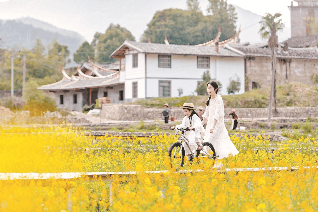 收藏！泉州春日賞花去哪里？花期+地址全攻略