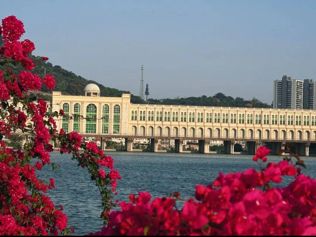 收藏！泉州春日賞花去哪里？花期+地址全攻略