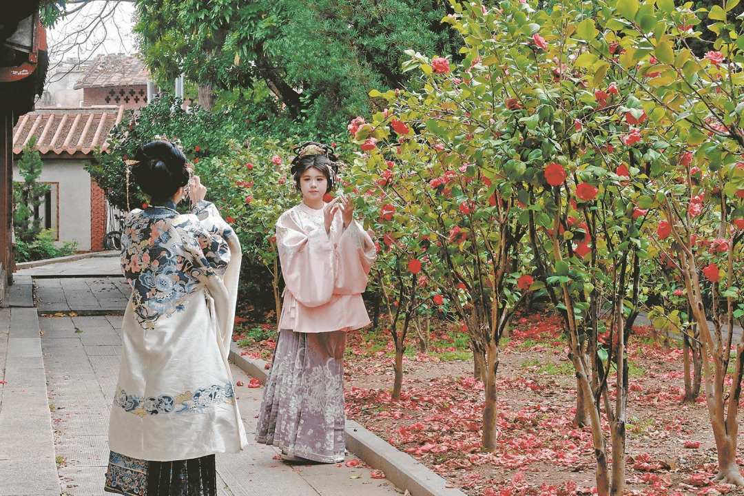 收藏！泉州春日賞花去哪里？花期+地址全攻略