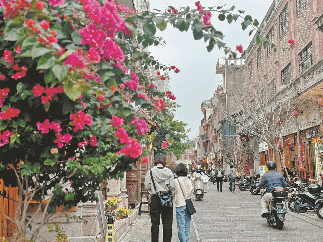 收藏！泉州春日賞花去哪里？花期+地址全攻略