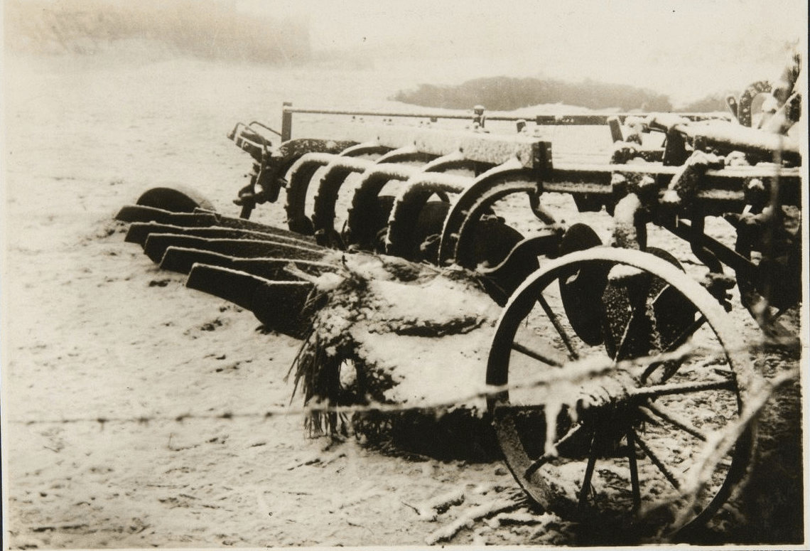 原創(chuàng)偽滿洲國時期的彌榮村：日本移民搶奪資源，無惡不作